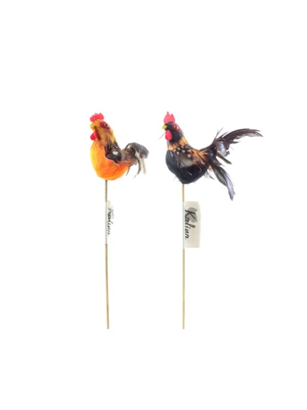 Kogut ozdobny na piku - ok.100 mm