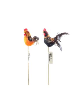 Kogut ozdobny na piku - ok.100 mm