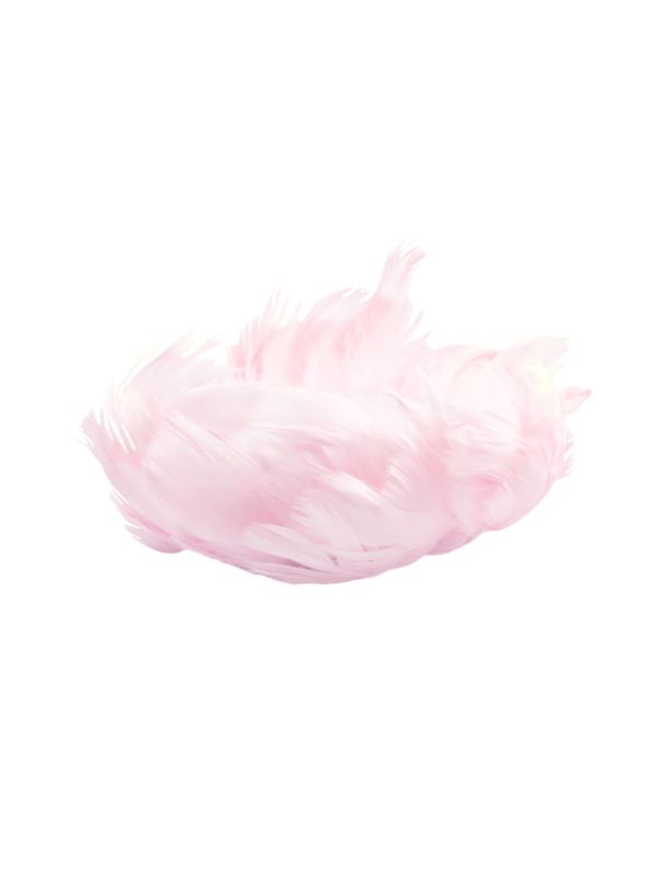 Piórka na drucie - 10mb/opak.