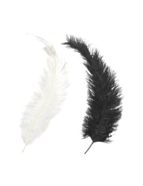 Pióro KNORR PRANDELL - ok.35 cm