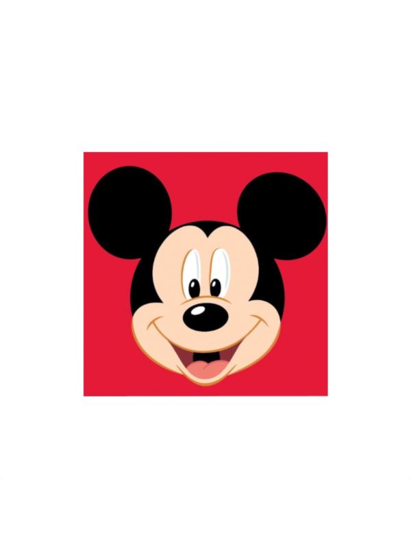 Zestaw kanwy z muliną - 12x12 cm - Myszka Mickey & Przyjaciele - 563