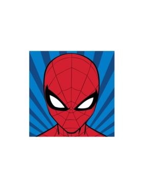 Zestaw kanwy z muliną - 12x12 cm - Spiderman - 650
