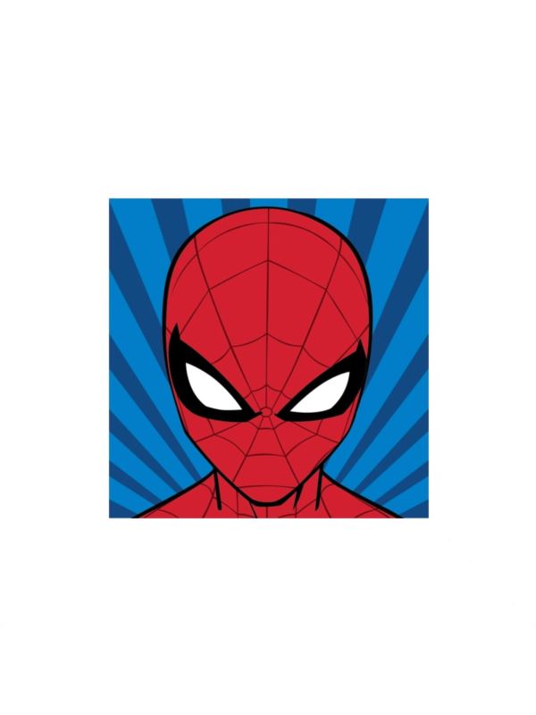Zestaw kanwy z muliną - 12x12 cm - Spiderman - 650