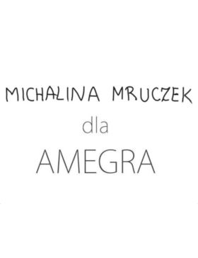 Zestaw startowy do haftu - KWIATY LETNIE