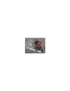 Aplikacje termoprzylepne drukowane LECCO - Moto - 06431 - 40szt./opak.