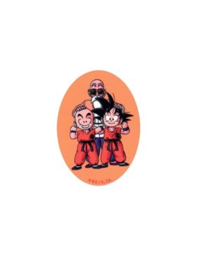 Łaty termoprzylepne drukowane - 8x11 cm - Dragon Ball - 6922 - 24szt./opak.