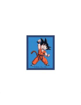 Aplikacje termoprzylepne drukowane - Dragon Ball - 6923 - 24szt./opak.