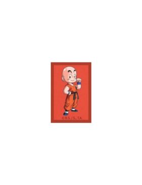 Aplikacje termoprzylepne drukowane - Dragon Ball - 6923 - 24szt./opak.