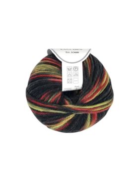 Włóczka - Campolmi Filati - Irlanda Fantasy - 0,5kg/opak.