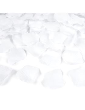 Second image