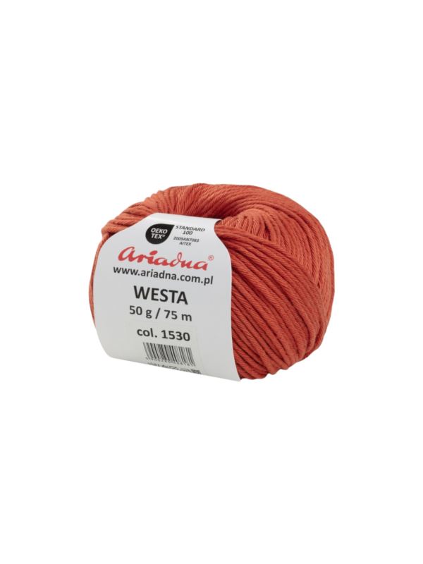 Włóczka - Ariadna - Westa 2 - 0,3kg/opak.