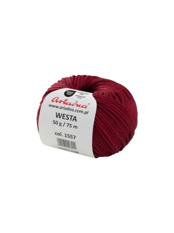 Włóczka - Ariadna - Westa 2 - 0,3kg/opak.