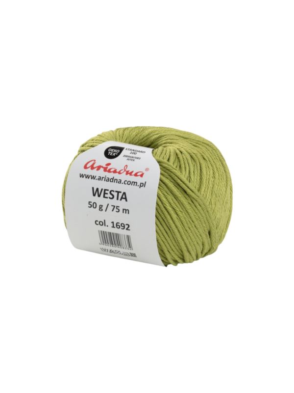 Włóczka - Ariadna - Westa 2 - 0,3kg/opak.