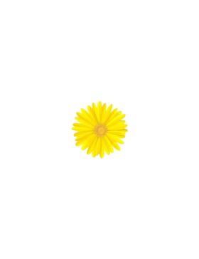 Aplikacje termoprzylepne drukowane LECCO - Flowers - 06511 - 40szt./opak.